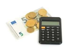 Przychody w walutach obcych