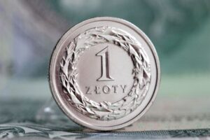 Kary skarbowe w 2019 i limity ich stosowania w postępowaniach karnych skarbowych w 2019