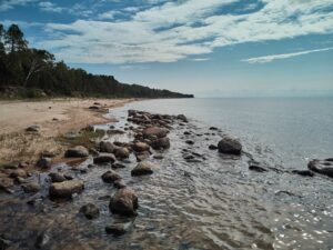 Udzielanie zaległego urlopu w okresie epidemii COVID-19