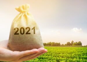 Podatek rolny i leśny, termin zapłaty upływa 15 marca