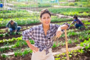 PIP o legalności zatrudnienia. Prawa pracowników sezonowych i cudzoziemców.