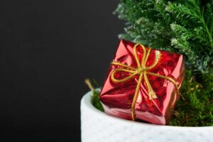 Świąteczne wydatki w księgach rachunkowych