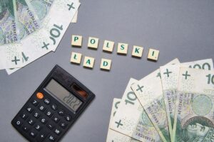 W aplikacji Twój e-PIT na podatników będzie czekać jedno rozliczenie za 2022 r.