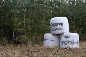 Podział gruntu i sprzedaż na działki to działalność gospodarcza w oczach fiskusa