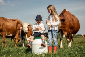 Czy rolnik może skorzystać z ulgi prorodzinnej w PIT? – wyjaśniamy