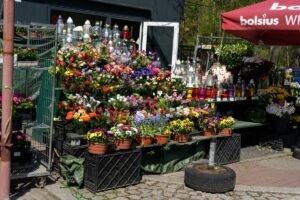 Zaliczka na podatek od niskiego wynagrodzenia