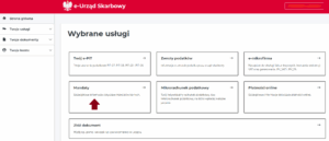 Jak zapłacić mandat karny? Wykorzystaj e-Urząd Skarbowy