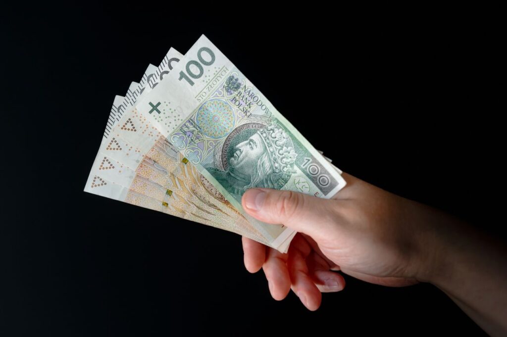 Ręka trzymająca banknoty, PLN