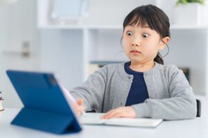 Co będzie po KSeF? Skarbówka planuje kolejne e-usługi, w tym dla podatników VAT